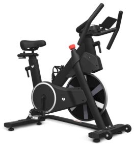 Lifespan SM-420 Spin Bike *JUST ARRIVED*