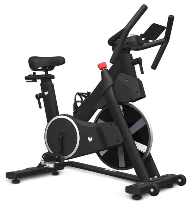 Lifespan SM-420 Spin Bike *JUST ARRIVED*